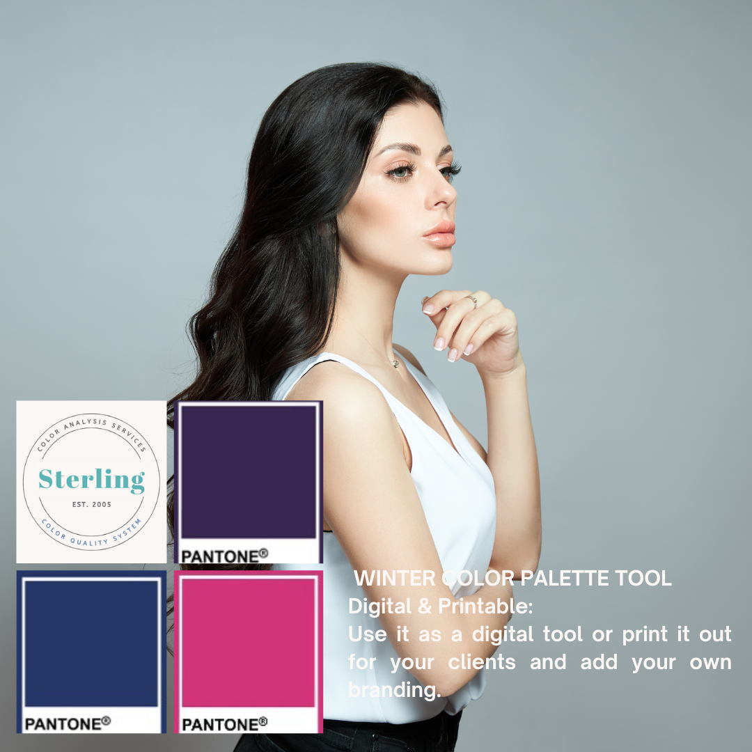 Winter Color Palette Tool 